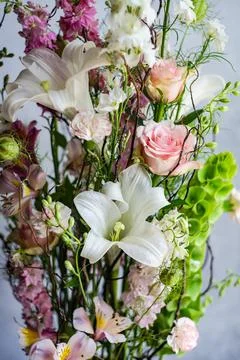 Fresh summer floral box Stock Photos