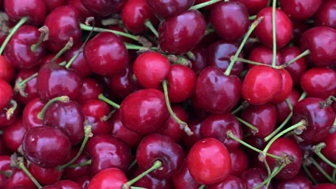 Fresh Sweet Cherry Background with Many Red Berries. Stock Footage 335363754