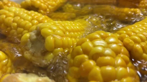 Fresh Sweet Corn on the Cob Being Washed with Water Splash 4K Stock Footage 345026554