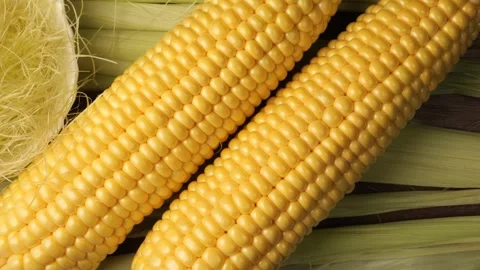 Fresh sweet corn on the cob dolly shot 動画素材 341280841