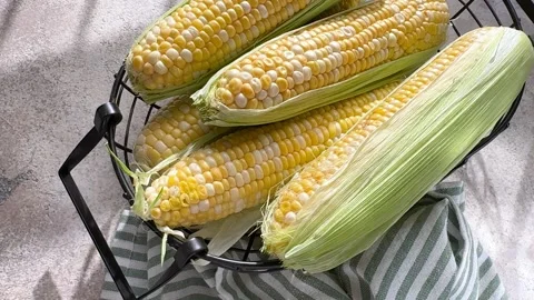 Fresh sweet corn cobs in basket Stock Footage 342831398