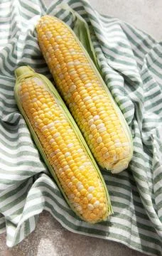 Fresh sweet corn cobs on striped cloth Stock Photos
