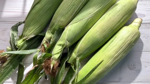 Fresh sweet corn cobs on wooden table Stock Footage 342534802