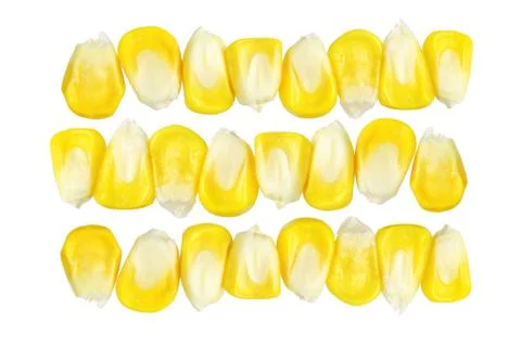 Fresh Sweet Corn Kernels Stock Photos