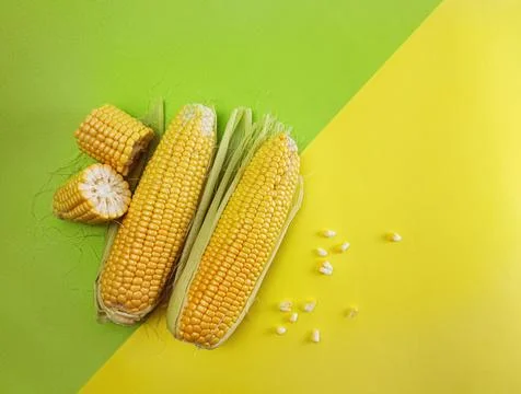 Fresh sweet corn Stock Photos