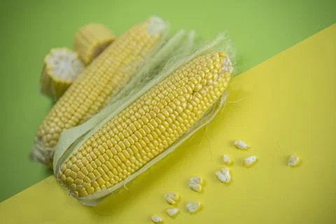 Fresh sweet corn 库存照片