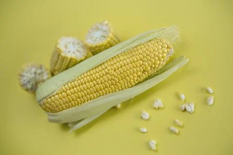 Fresh sweet corn 写真素材