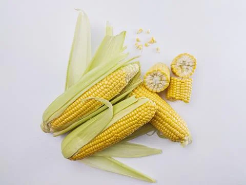 Fresh sweet corn 库存照片