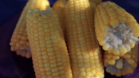 Fresh sweet corn rotating. Ripe corn cobs in a purple plate 스톡 동영상 112266966
