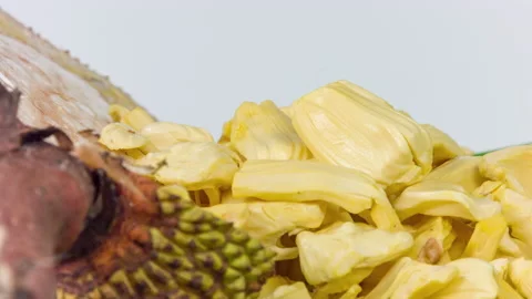Fresh sweet Jackfruit segment ready for eat. Tropical fruit. Selective focus. Stock Footage 90876413