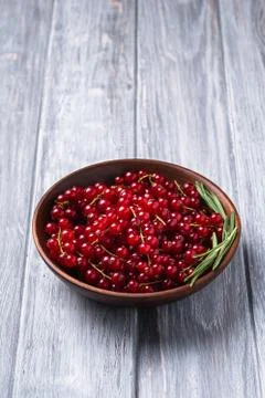 Fresh sweet red currant berries with rosemary leaves in wooden bowl Stock Photos