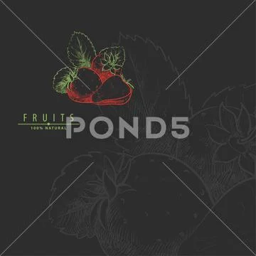Fresh sweet strawberry illustration Stock Illustration