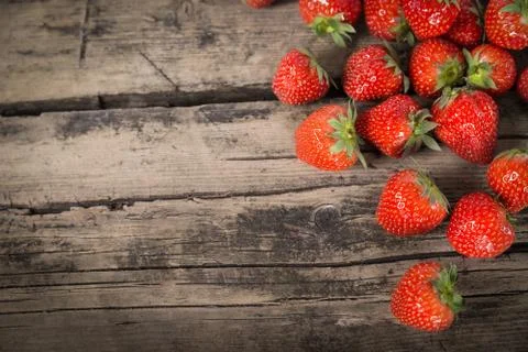 Fresh sweet strawberry Stock Photos