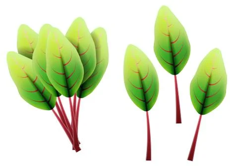 Fresh swiss chard leaf. 3D realistic vector set beet leaves. Healthy aroma. I Stock Illustration