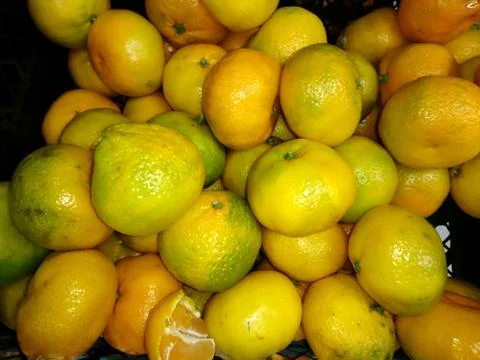 Fresh tangerines in a close-up box Stock Photos