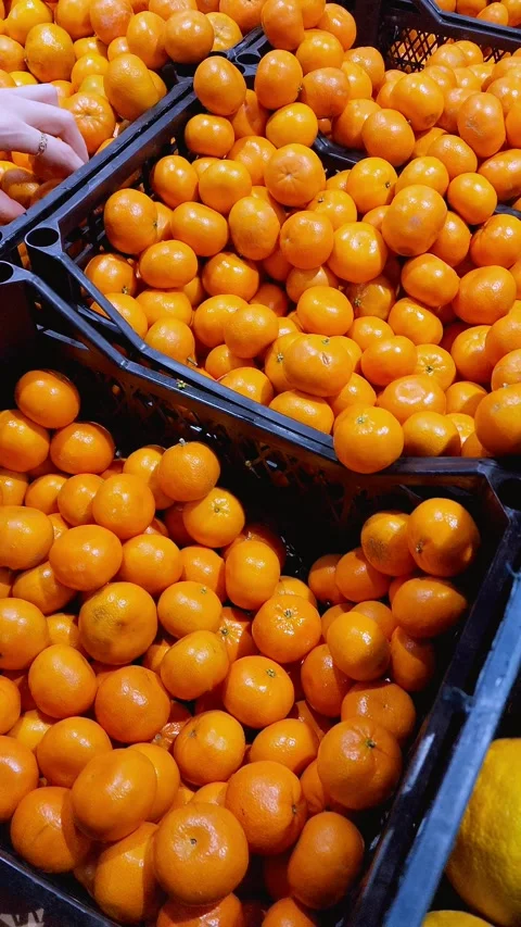 Fresh tangerines or boxed leaf tangerines at your local food market Vidéo 337204457