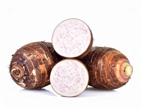 Fresh Taro Root Isolated on White Background, Colocasia esculenta Edible Tr.. Stock Photos