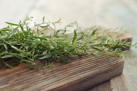 Fresh tarragon Stock Photos