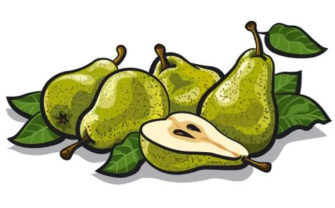 Fresh tasty pears Stock Illustration