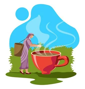 Fresh tea concept, tea leaf harvester woman and tea cup vector Illustrazione stock