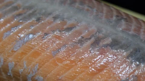 Fresh texture of red salmon. Close-up Stock Footage 167636765