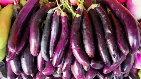 Fresh thin Chinese eggplants with green calyx Stock Footage 338169191