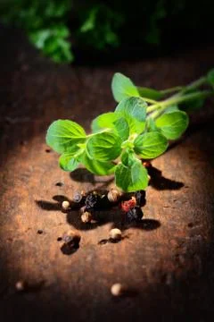 Fresh thyme with peppercorns Stock Photos