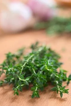 Fresh thyme Stock Photos