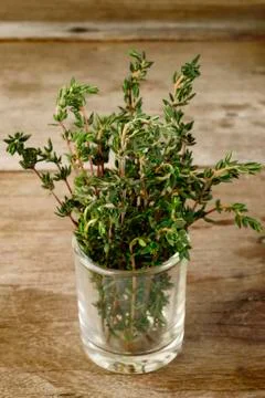 Fresh thyme Stock Photos
