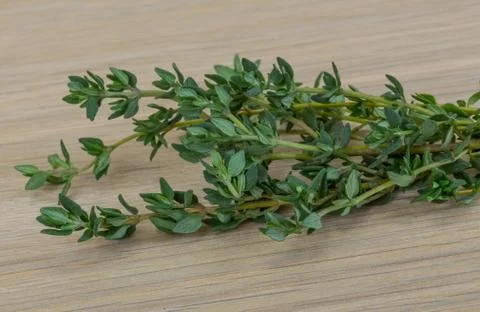 Fresh thyme Stock Photos