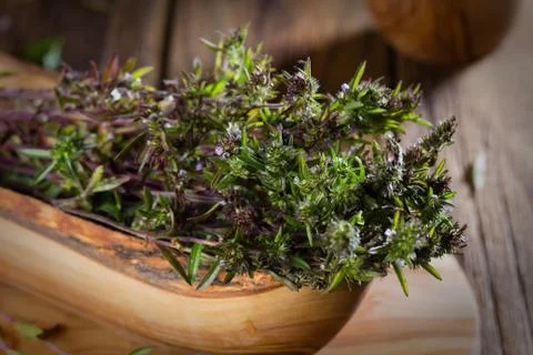 Fresh thyme Stock Photos