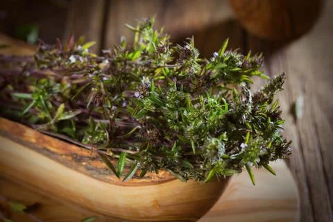 Fresh thyme Stock-Fotos