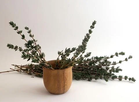 Fresh thyme 写真素材