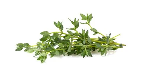 Fresh thyme  on white background Stock Photos