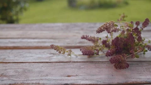 Fresh thyme on wooden table Stock Footage 137806846