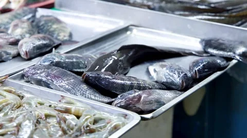 Fresh Tilapia and Catfish Displayed on Metal Trays at Manila Wet Market Stock Footage 330390612