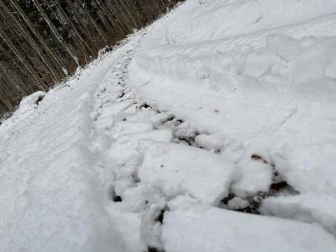 Fresh tire tracks in the snow in the forest Stock Photos