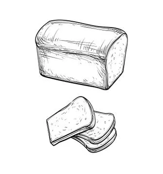 Fresh toast bread. 库存插图