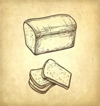 Fresh toast bread. 库存插图