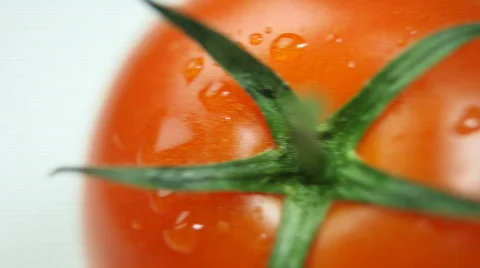 Fresh tomaotes, macro tracking sequence 库存影片 544634