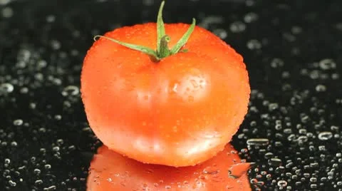 Fresh tomato on black Stock Footage 8992329
