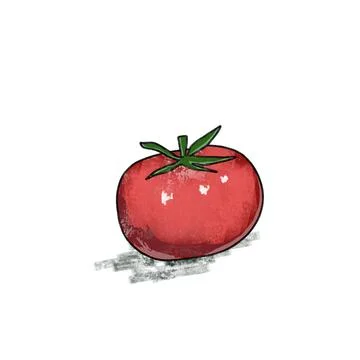 Fresh tomato drawing Stock Illustration