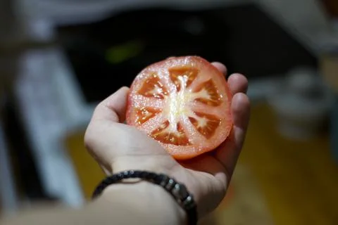 Fresh tomato in hand Stock Photos