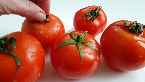 Fresh tomato hand takes Stock Footage 87203346