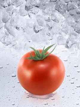 Fresh tomato on ice cubes background Stock Illustration