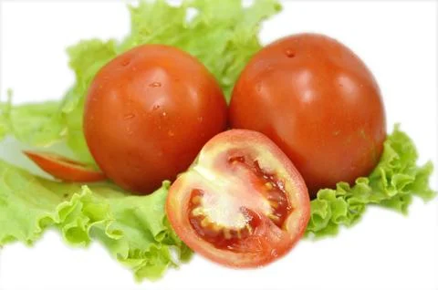Fresh Tomato Stock Photos