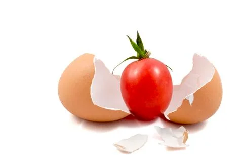 Fresh tomato Stock Photos