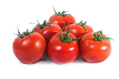 Fresh tomato Stock Photos
