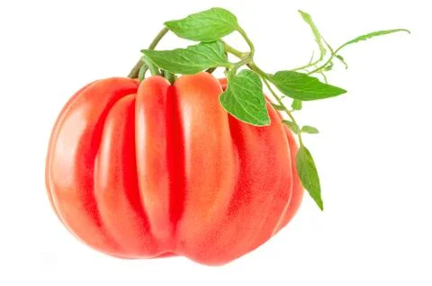 Fresh tomato Stock Photos