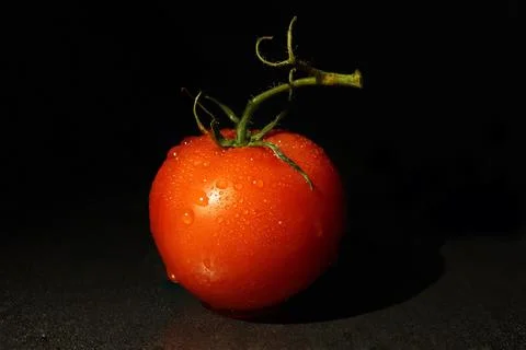 Fresh tomato Stock Photos